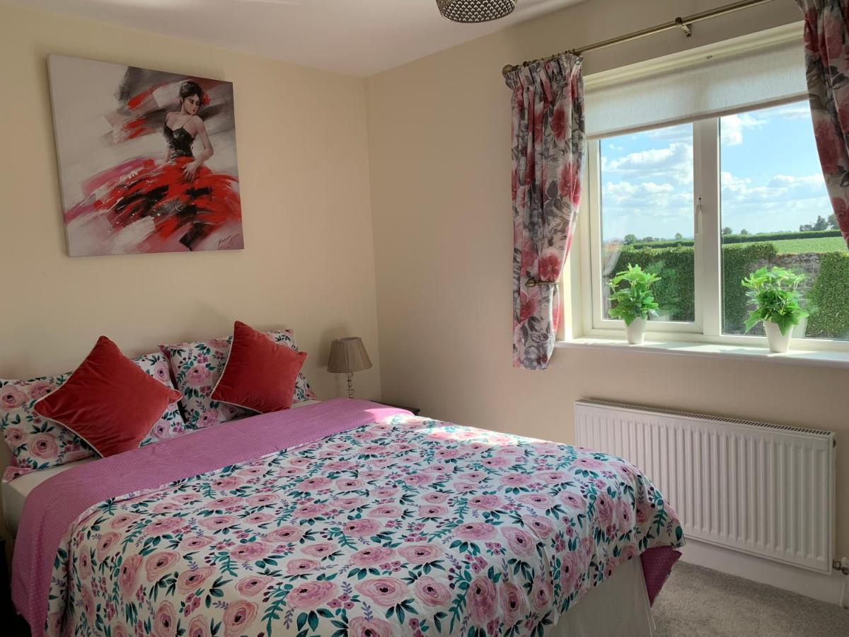 Two Bedroom Town House Beside The River Barrow Carlow Buitenkant foto
