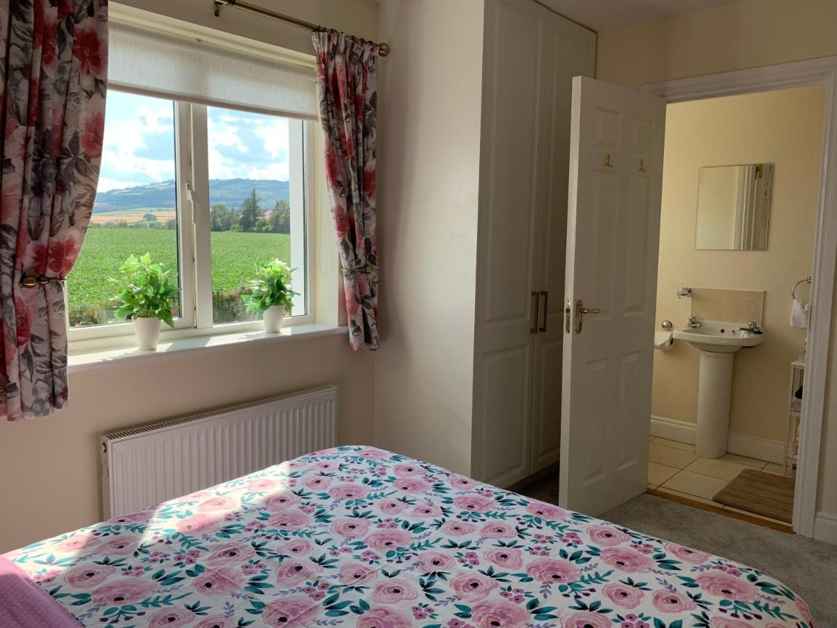 Two Bedroom Town House Beside The River Barrow Carlow Buitenkant foto