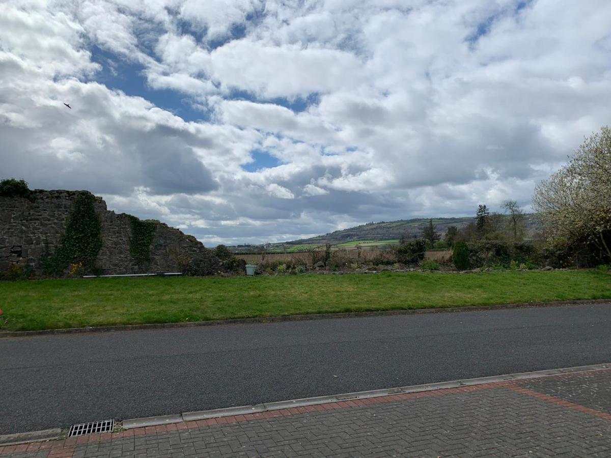 Two Bedroom Town House Beside The River Barrow Carlow Buitenkant foto